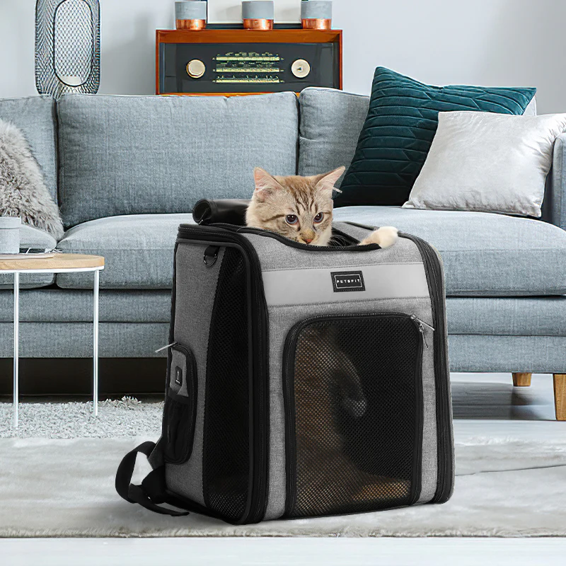 cat hiking backpack