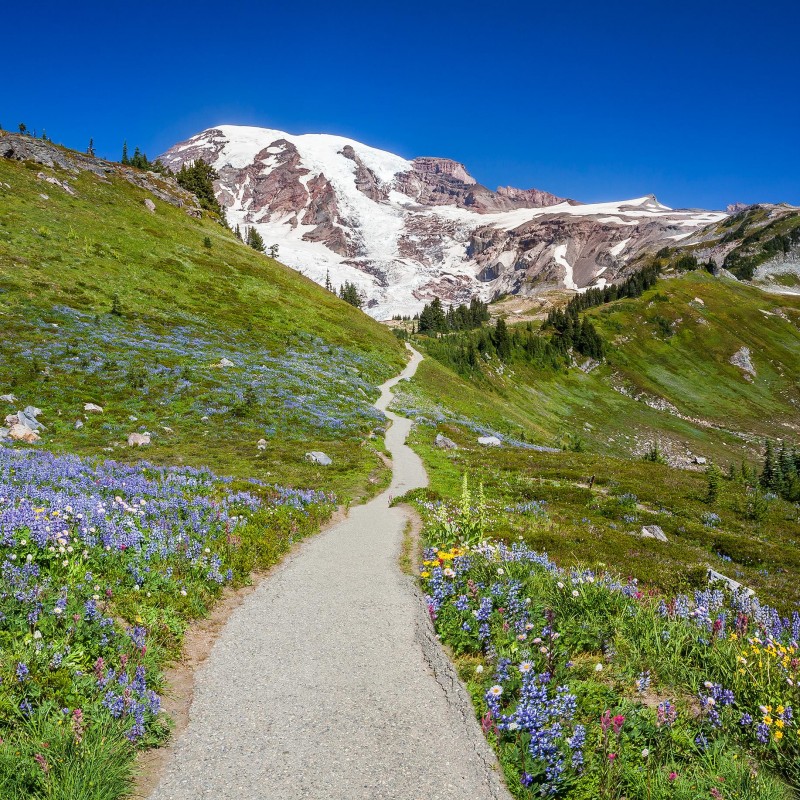 yellowstone hiking trails