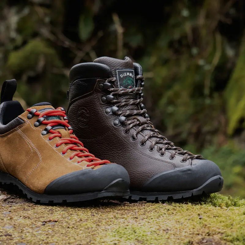 goretex hiking shoes